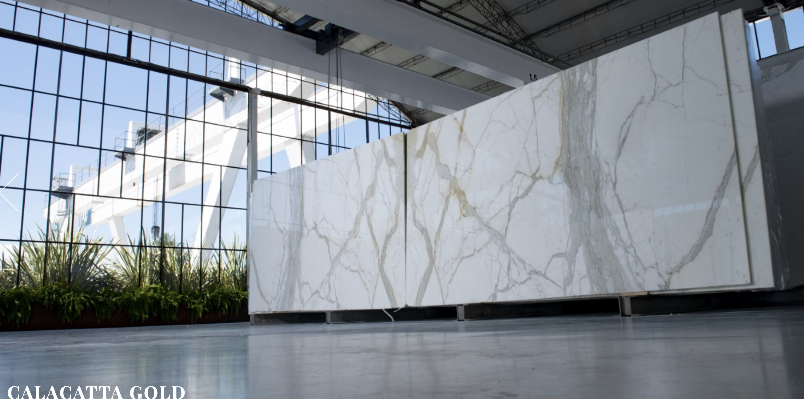 Premium Calacatta Marble slab with golden beige veining